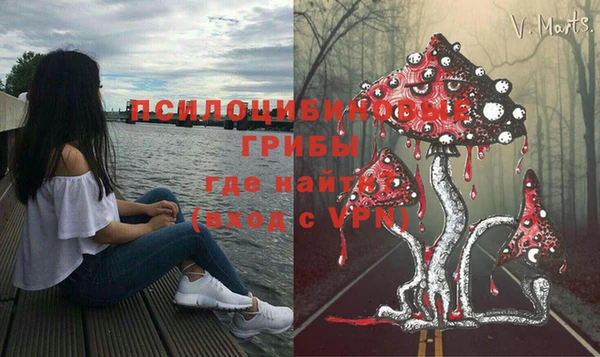 PSILOCYBIN Пестово