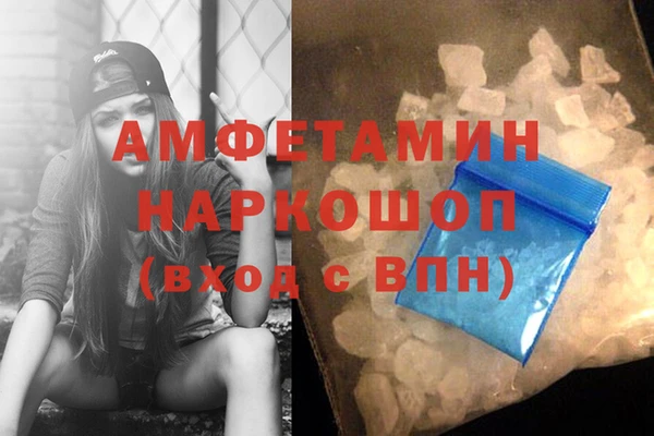 сатива Кулебаки