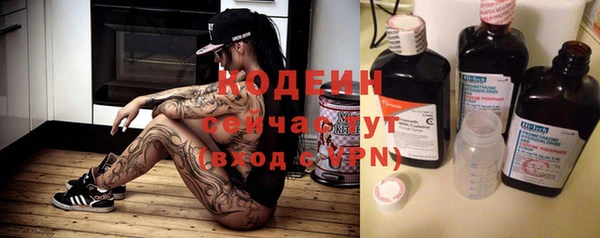 дурь Покачи