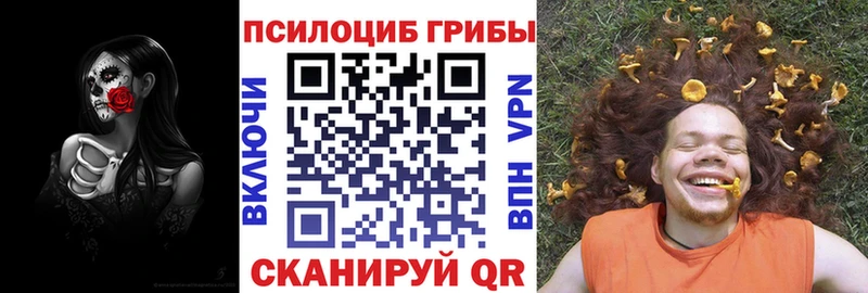ссылка на мегу   Закаменск  Псилоцибиновые грибы Psilocybe  как найти наркотики 