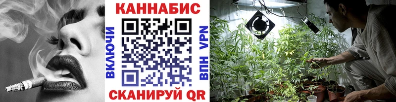 закладка  Закаменск  Марихуана план 